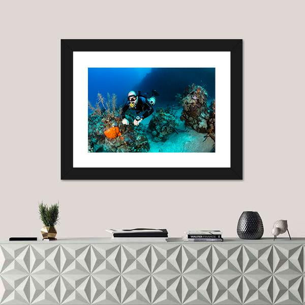Scuba Diver On A Tropical Coral Reef Canvas Wall Art-1 Piece-Framed Print-20" x 16"-Tiaracle