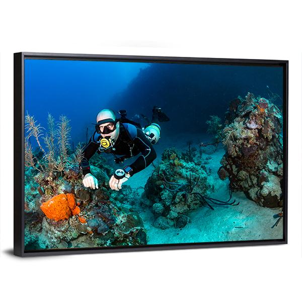 Scuba Diver On A Tropical Coral Reef Canvas Wall Art-3 Horizontal-Gallery Wrap-25" x 16"-Tiaracle