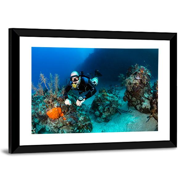Scuba Diver On A Tropical Coral Reef Canvas Wall Art-3 Horizontal-Gallery Wrap-25" x 16"-Tiaracle