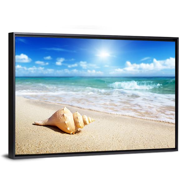 Seashell On The Beach Canvas Wall Art-3 Horizontal-Gallery Wrap-25" x 16"-Tiaracle