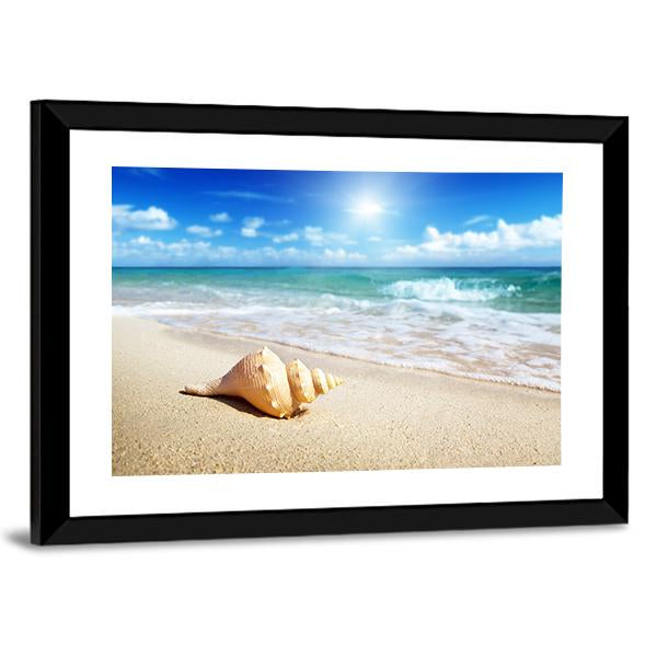 Seashell On The Beach Canvas Wall Art-3 Horizontal-Gallery Wrap-25" x 16"-Tiaracle