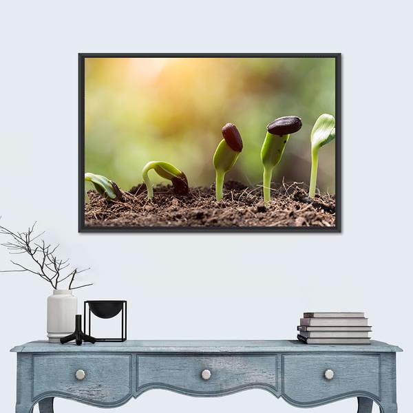 Seed Root On Soil With Sunbeam Canvas Wall Art-1 Piece-Floating Frame-24" x 16"-Tiaracle
