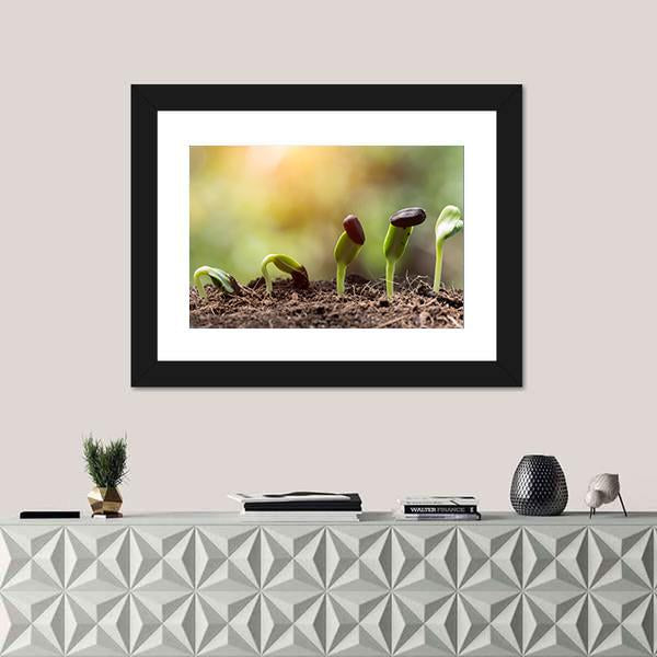 Seed Root On Soil With Sunbeam Canvas Wall Art-1 Piece-Framed Print-20" x 16"-Tiaracle