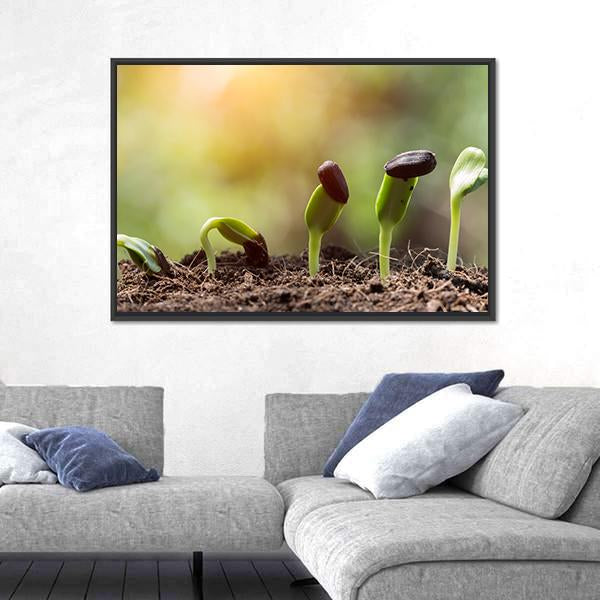 Seed Root On Soil With Sunbeam Canvas Wall Art-3 Horizontal-Gallery Wrap-25" x 16"-Tiaracle