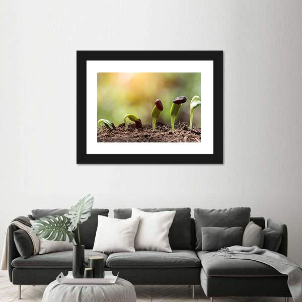 Seed Root On Soil With Sunbeam Canvas Wall Art-3 Horizontal-Gallery Wrap-25" x 16"-Tiaracle