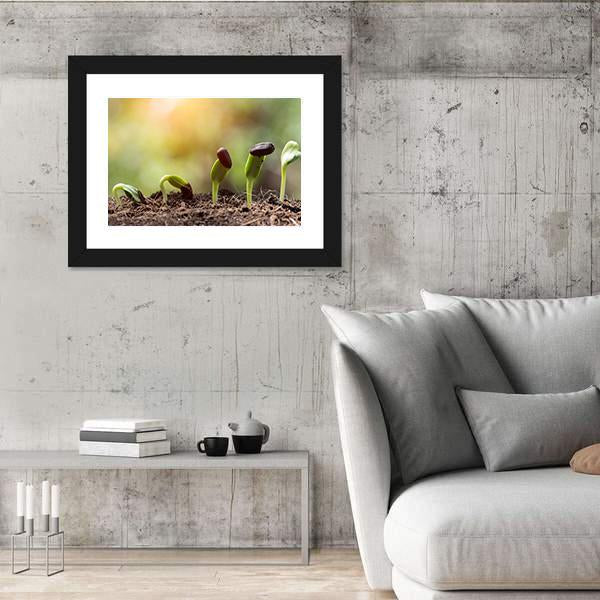 Seed Root On Soil With Sunbeam Canvas Wall Art-3 Horizontal-Gallery Wrap-25" x 16"-Tiaracle