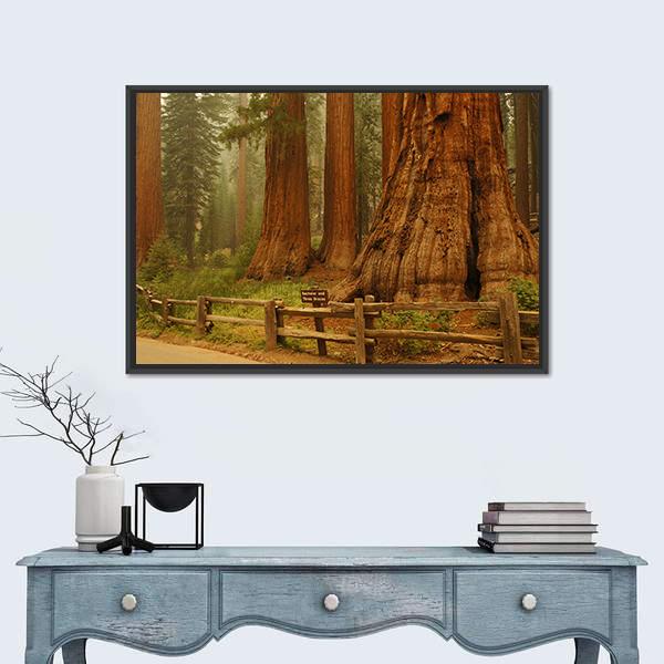 Sequioa Natianal Park In California Canvas Wall Art-1 Piece-Floating Frame-24" x 16"-Tiaracle