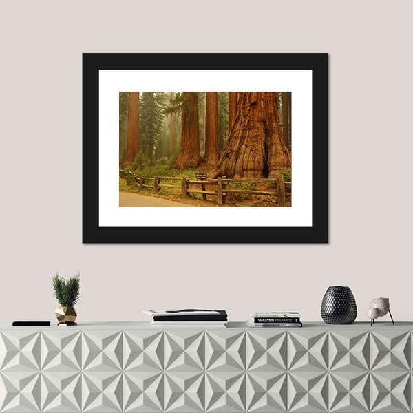 Sequioa Natianal Park In California Canvas Wall Art-1 Piece-Framed Print-20" x 16"-Tiaracle