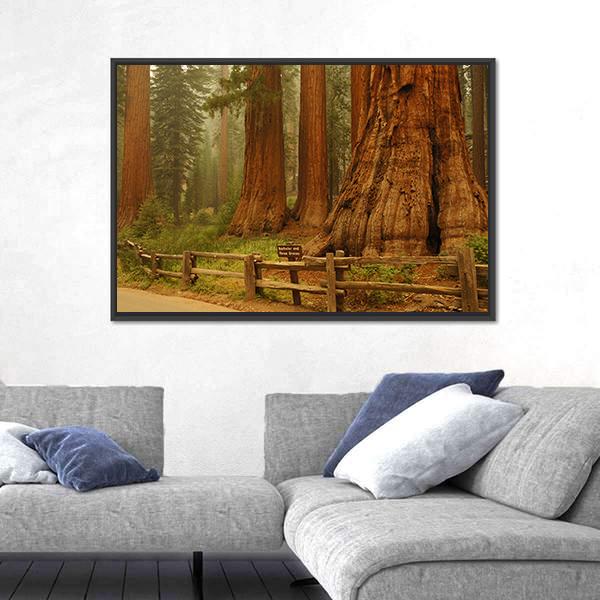 Sequioa Natianal Park In California Canvas Wall Art-3 Horizontal-Gallery Wrap-25" x 16"-Tiaracle