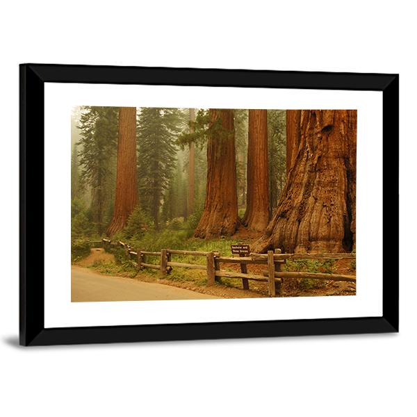 Sequioa Natianal Park In California Canvas Wall Art-3 Horizontal-Gallery Wrap-25" x 16"-Tiaracle