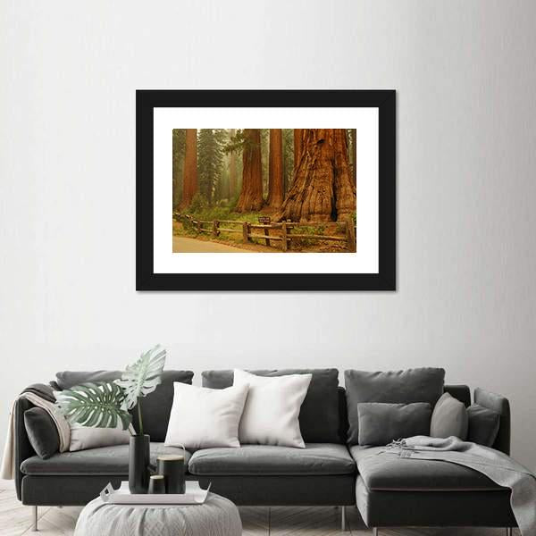 Sequioa Natianal Park In California Canvas Wall Art-3 Horizontal-Gallery Wrap-25" x 16"-Tiaracle