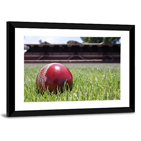 Shiny New Cricket Ball On Grass Canvas Wall Art-5 Horizontal-Gallery Wrap-22&quot; x 12&quot;-Tiaracle