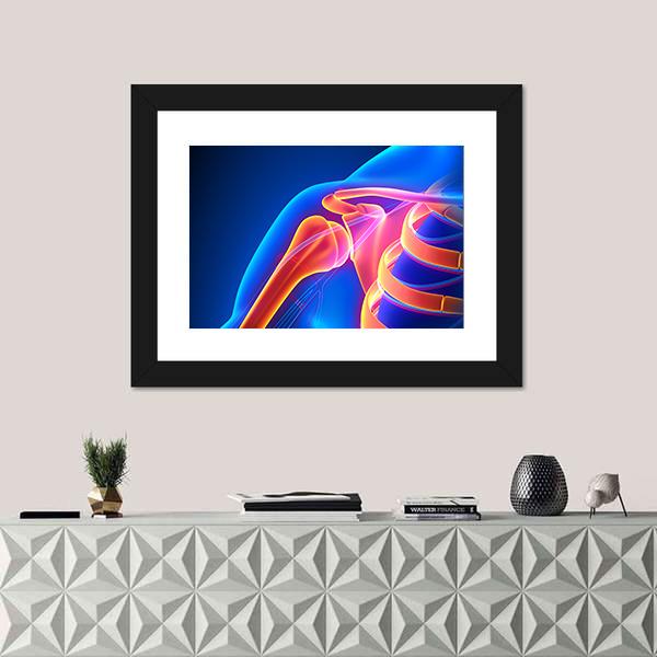 Shoulder Joint Anatomy Canvas Wall Art-1 Piece-Framed Print-20&quot; x 16&quot;-Tiaracle
