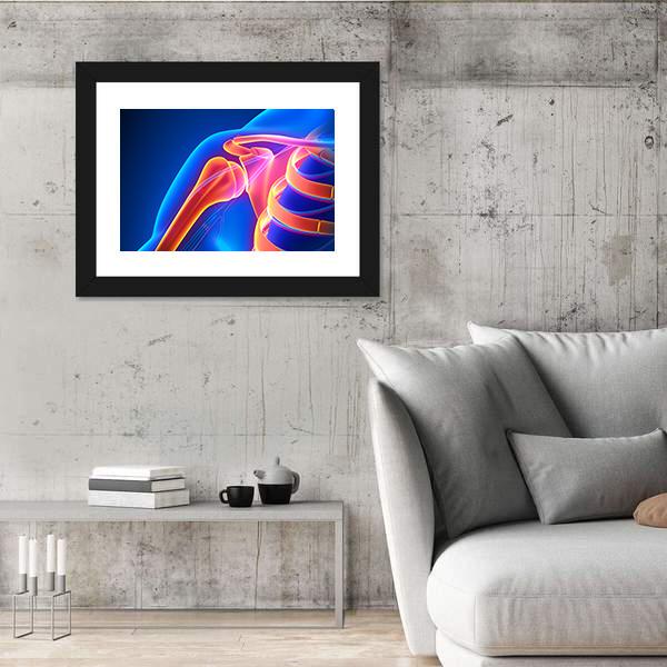 Shoulder Joint Anatomy Canvas Wall Art-3 Horizontal-Gallery Wrap-25" x 16"-Tiaracle