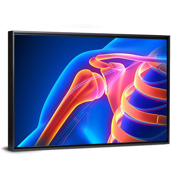 Shoulder Joint Anatomy Canvas Wall Art-3 Horizontal-Gallery Wrap-25" x 16"-Tiaracle