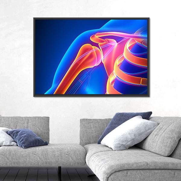 Shoulder Joint Anatomy Canvas Wall Art-5 Horizontal-Gallery Wrap-22" x 12"-Tiaracle