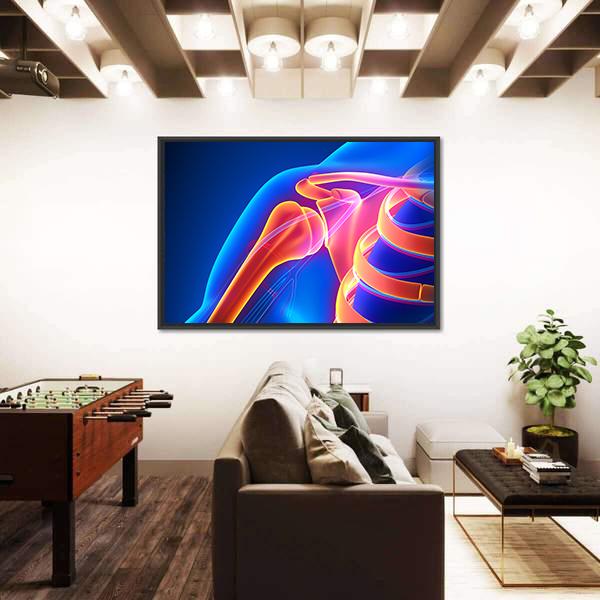 Shoulder Joint Anatomy Canvas Wall Art-3 Horizontal-Gallery Wrap-25" x 16"-Tiaracle