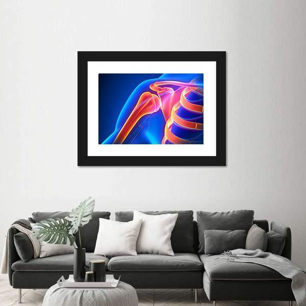 Shoulder Joint Anatomy Canvas Wall Art-5 Horizontal-Gallery Wrap-22&quot; x 12&quot;-Tiaracle