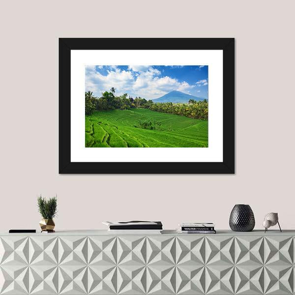 Sight Of Balinese Bright Green Rice Canvas Wall Art-1 Piece-Framed Print-20" x 16"-Tiaracle