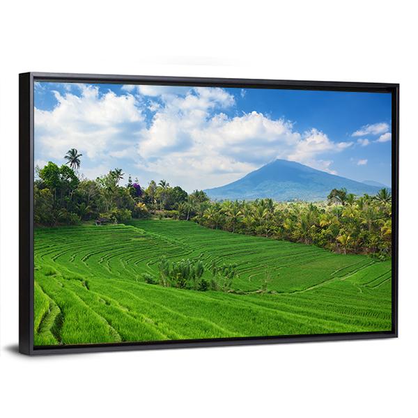 Sight Of Balinese Bright Green Rice Canvas Wall Art-3 Horizontal-Gallery Wrap-25" x 16"-Tiaracle