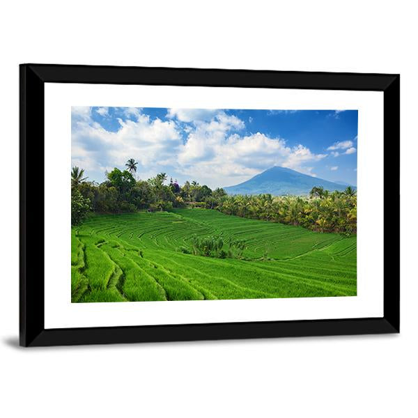 Sight Of Balinese Bright Green Rice Canvas Wall Art-3 Horizontal-Gallery Wrap-25" x 16"-Tiaracle