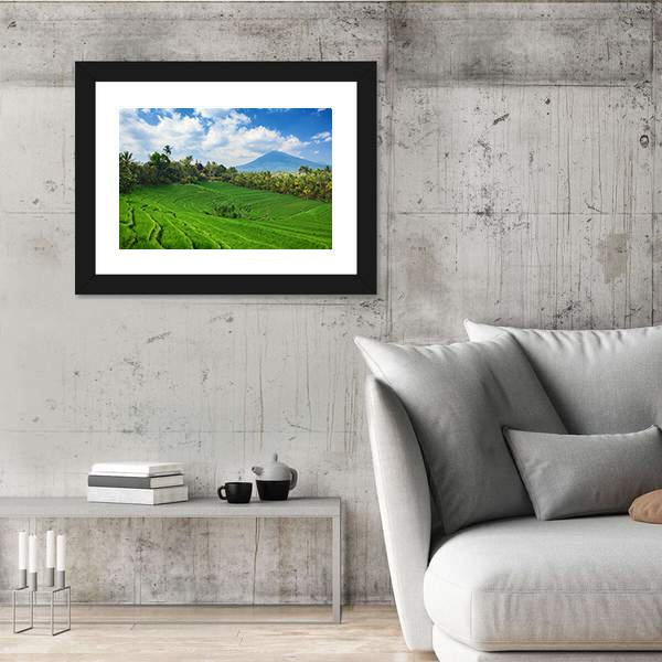 Sight Of Balinese Bright Green Rice Canvas Wall Art-3 Horizontal-Gallery Wrap-25" x 16"-Tiaracle