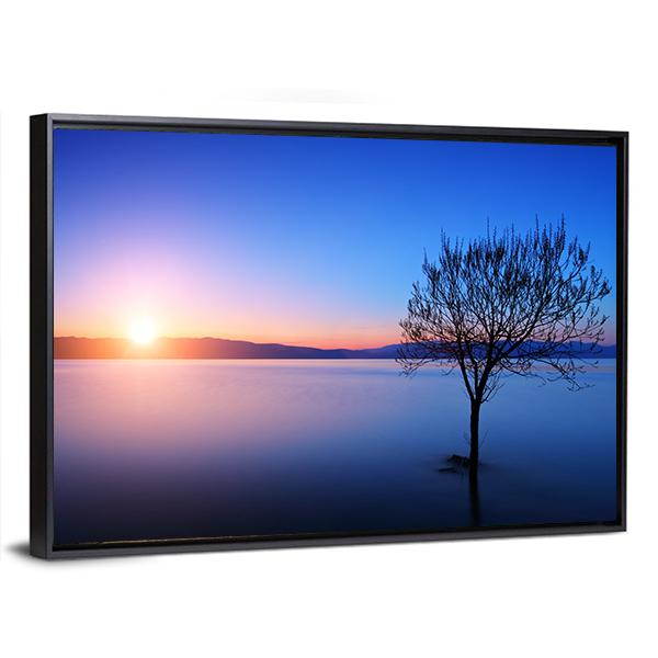 Silhouette Of Tree In Ohrid lake Canvas Wall Art-3 Horizontal-Gallery Wrap-25" x 16"-Tiaracle