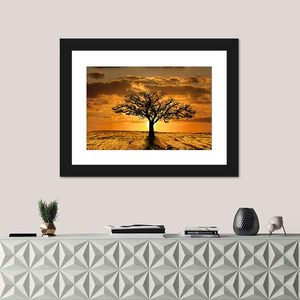 Single Tree Dying During Sunset Canvas Wall Art-1 Piece-Framed Print-20" x 16"-Tiaracle