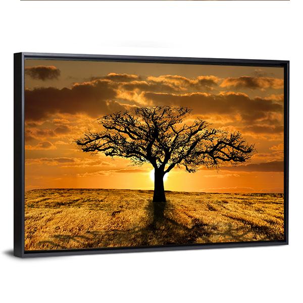 Single Tree Dying During Sunset Canvas Wall Art-3 Horizontal-Gallery Wrap-25" x 16"-Tiaracle