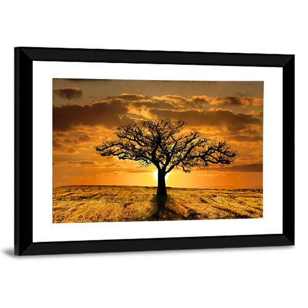 Single Tree Dying During Sunset Canvas Wall Art-3 Horizontal-Gallery Wrap-25" x 16"-Tiaracle
