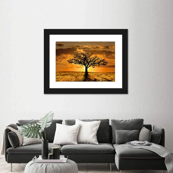 Single Tree Dying During Sunset Canvas Wall Art-3 Horizontal-Gallery Wrap-25" x 16"-Tiaracle