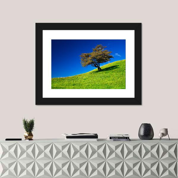 Single Tree On A Green Meadow Canvas Wall Art-1 Piece-Framed Print-20" x 16"-Tiaracle