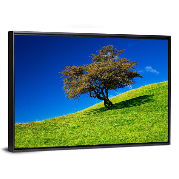 Single Tree On A Green Meadow Canvas Wall Art-3 Horizontal-Gallery Wrap-25" x 16"-Tiaracle