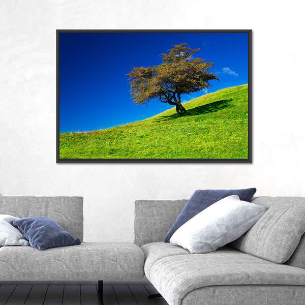 Single Tree On A Green Meadow Canvas Wall Art-3 Horizontal-Gallery Wrap-25" x 16"-Tiaracle