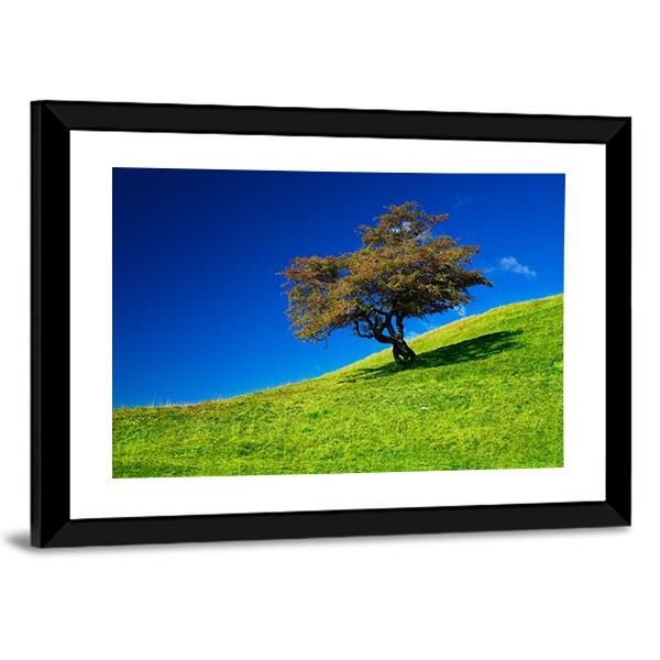 Single Tree On A Green Meadow Canvas Wall Art-3 Horizontal-Gallery Wrap-25" x 16"-Tiaracle