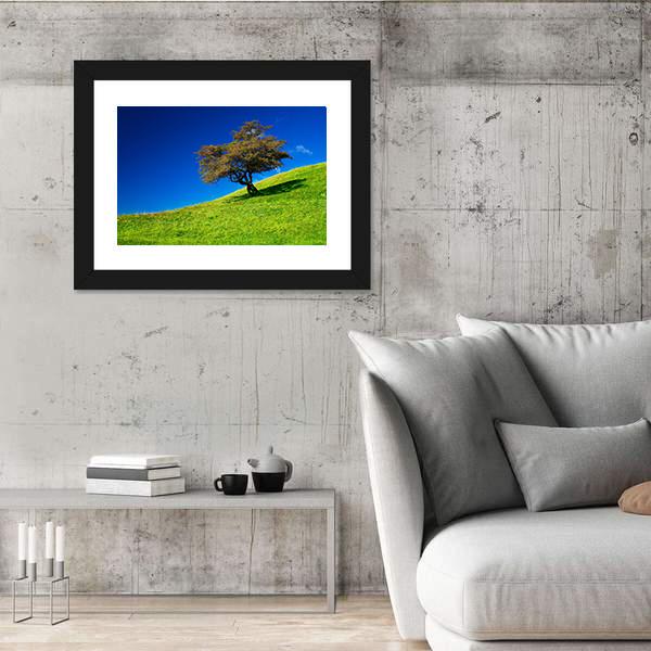 Single Tree On A Green Meadow Canvas Wall Art-3 Horizontal-Gallery Wrap-25" x 16"-Tiaracle