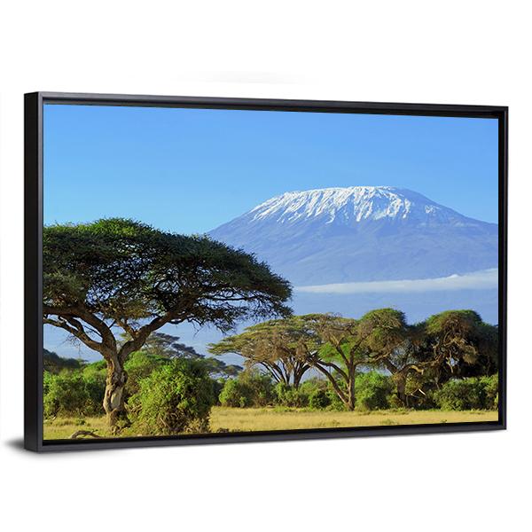 Snow On Top Of Mount Kilimanjaro Canvas Wall Art-3 Horizontal-Gallery Wrap-25" x 16"-Tiaracle