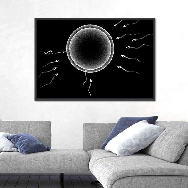 Sperm And Human Egg Canvas Wall Art-5 Horizontal-Gallery Wrap-22" x 12"-Tiaracle