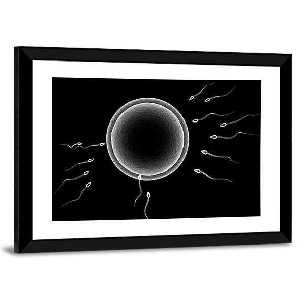 Sperm And Human Egg Canvas Wall Art-5 Horizontal-Gallery Wrap-22" x 12"-Tiaracle