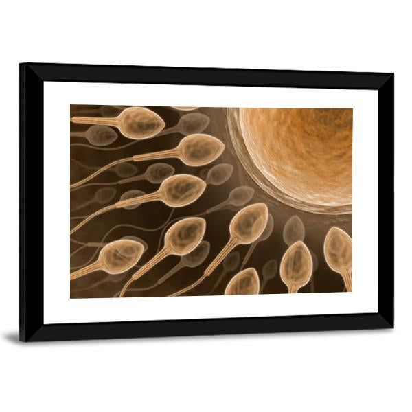 Sperm Close Up Canvas Wall Art-5 Horizontal-Gallery Wrap-22" x 12"-Tiaracle