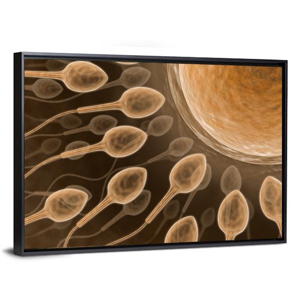 Sperm Close Up Canvas Wall Art-5 Horizontal-Gallery Wrap-22" x 12"-Tiaracle