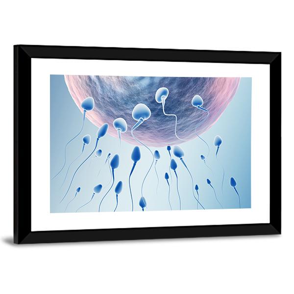 Sperm Hitting Egg Canvas Wall Art-5 Horizontal-Gallery Wrap-22&quot; x 12&quot;-Tiaracle