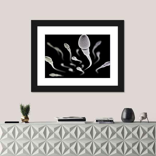 Sperm Visualization On Black Canvas Wall Art-1 Piece-Framed Print-20" x 16"-Tiaracle
