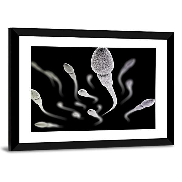 Sperm Visualization On Black Canvas Wall Art-5 Horizontal-Gallery Wrap-22" x 12"-Tiaracle