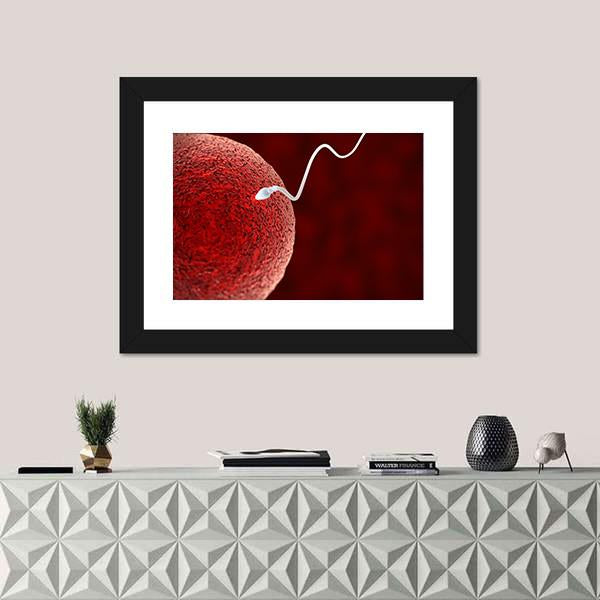Spermatozoon Fertilizing Ovum Canvas Wall Art-1 Piece-Framed Print-20" x 16"-Tiaracle