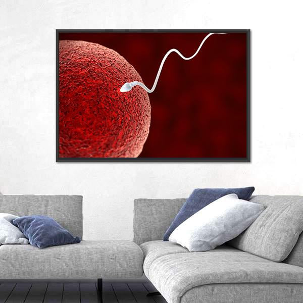 Spermatozoon Fertilizing Ovum Canvas Wall Art-5 Horizontal-Gallery Wrap-22" x 12"-Tiaracle