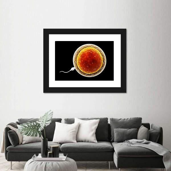 Spermatozoon Floating To Ovule Canvas Wall Art-1 Piece-Framed Print-20" x 16"-Tiaracle