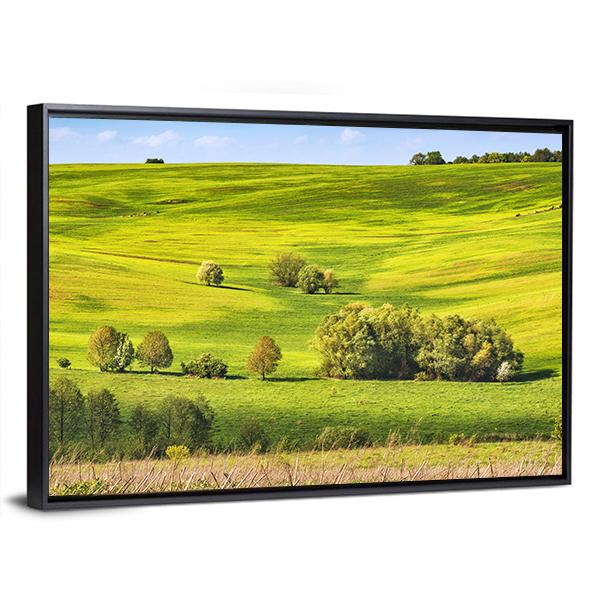 Spring Fields Covered With Fresh Grass Canvas Wall Art-3 Horizontal-Gallery Wrap-25" x 16"-Tiaracle