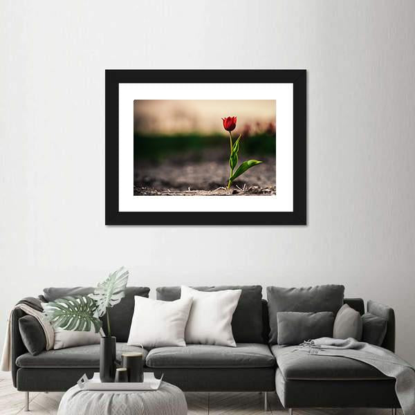 Spring Flowers In Holland Canvas Wall Art-1 Piece-Framed Print-20" x 16"-Tiaracle