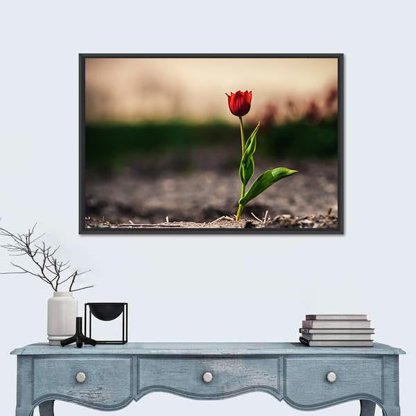 Spring Flowers In Holland Canvas Wall Art-5 Horizontal-Gallery Wrap-22" x 12"-Tiaracle